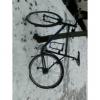 Report Image