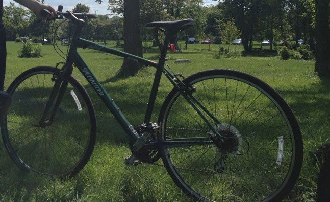 specialized sirrus green