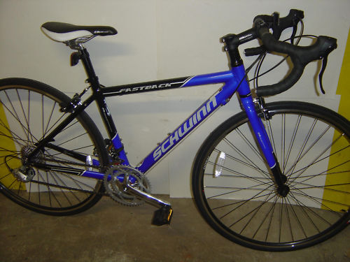 2009 schwinn fastback