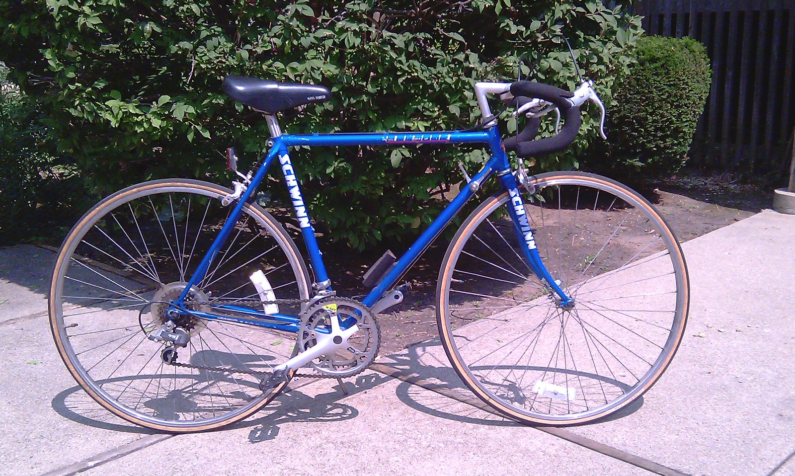 1989 schwinn traveler