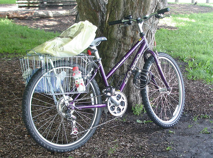 upland hybrid bike