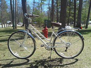 schwinn gateway 28