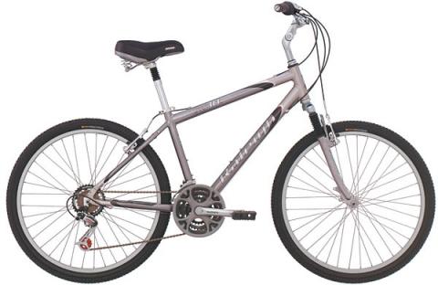 Raleigh SC-30 Hybrid comfort bike | Chicago Stolen Bike Registry